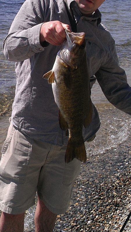 6D9F1B3E-9C76-4B47-9ABF-727D00C70035