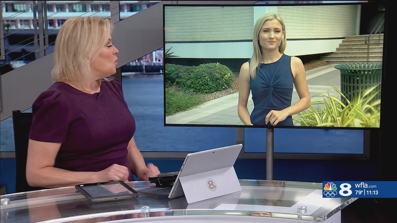 NewsChannel 8 at 11AM_20240506_16001700.ts_snapshot_00.13.44.919