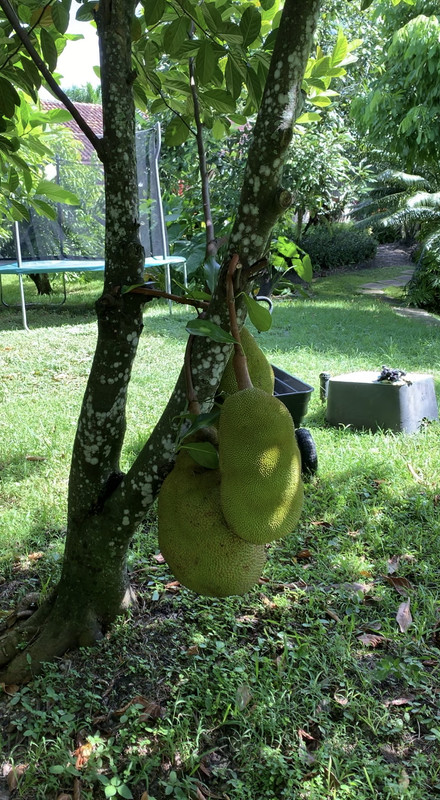 A09E80EE-547D-4D68-BC15-CFD138887005