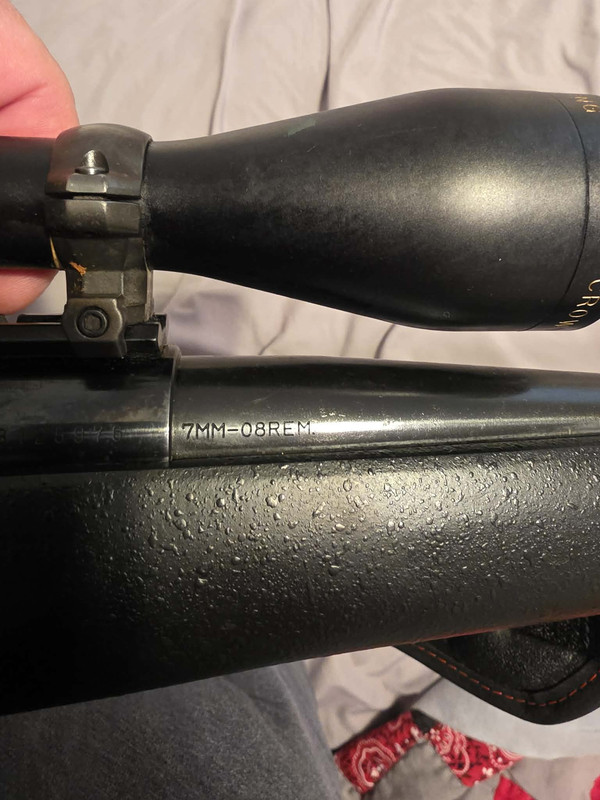 590283022 2082994919200921 540575053665161342 n