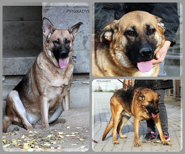 BeFunky-collage (19)