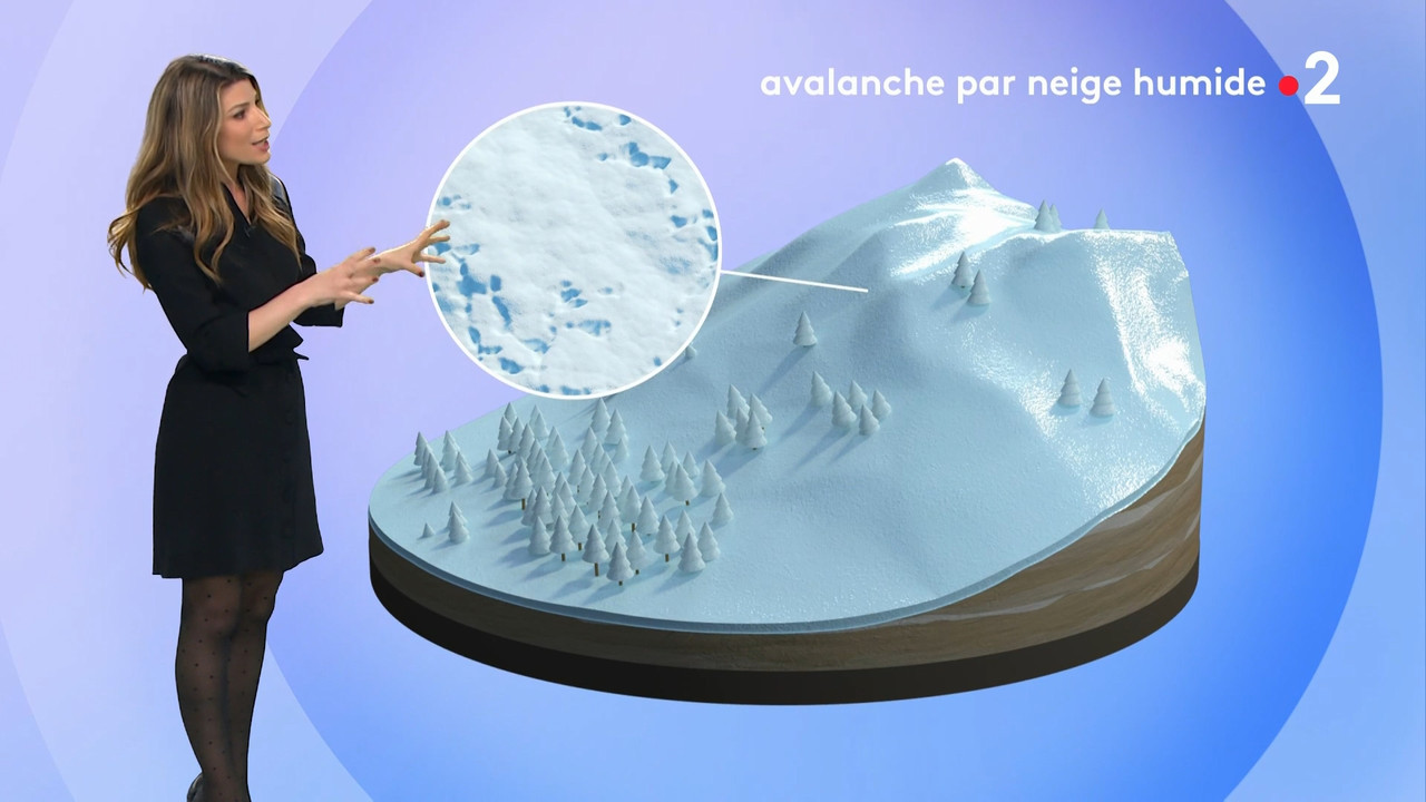 2021-01-30_20_50_Fr2_Meteo.mp4_snapshot_12.11.120