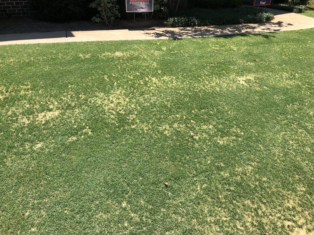 0E361CD9-4FC0-42A2-B519-8D558AD7A11A