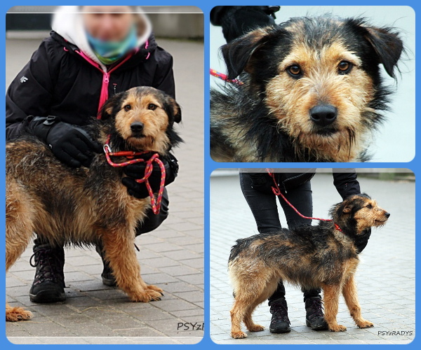 BeFunky-collage (27)