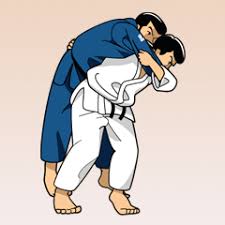 Judo-hip-throw.jpg