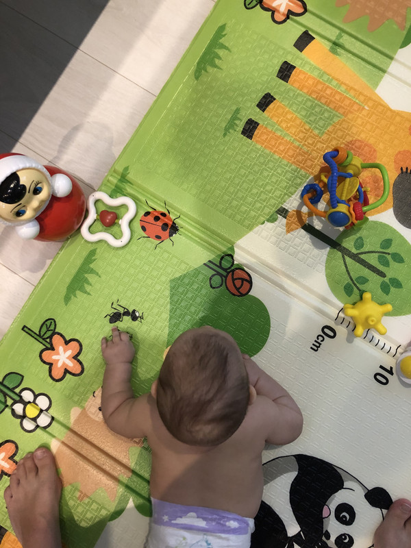 03036DCD-0B5E-4E86-AF72-9D9BB8CBD0FE