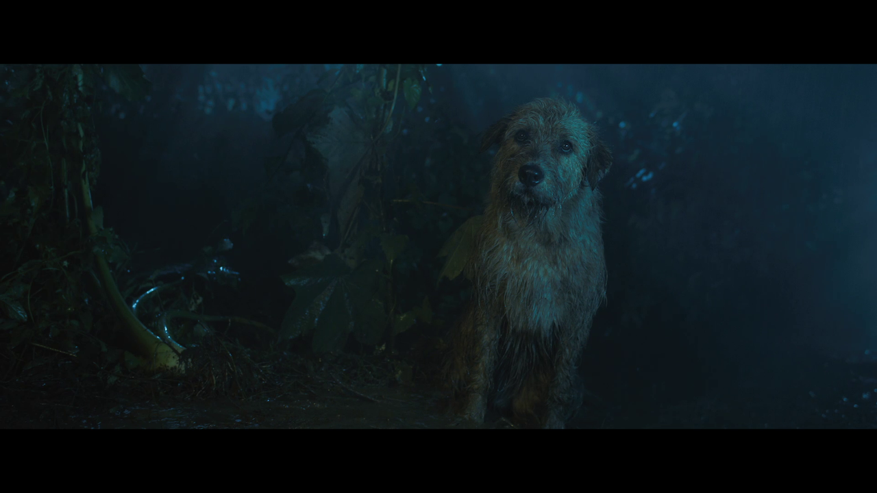 vlcsnap-2024-05-20-14h19m22s904