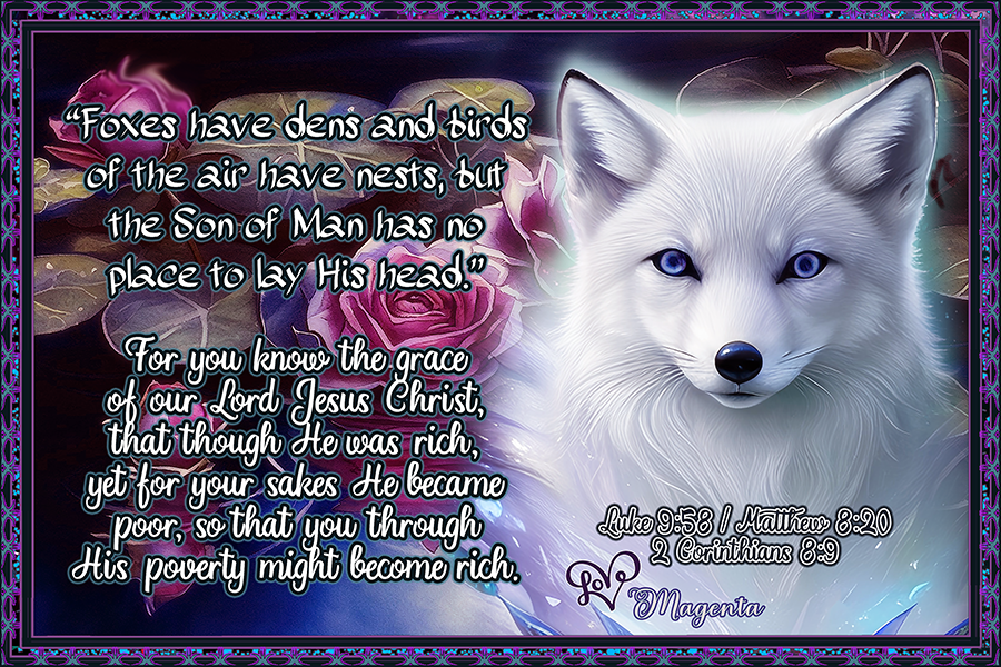 Luke9-58-Matthew8-20plus2Corinthians8-9.png