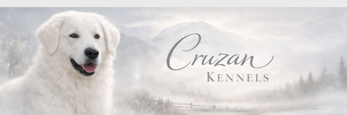 THIS IS YOUR BIG BANNER! DO NOT REMOVE SIZING