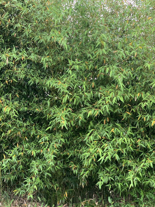 1792A614-F7F6-4D75-A640-729C0630E960