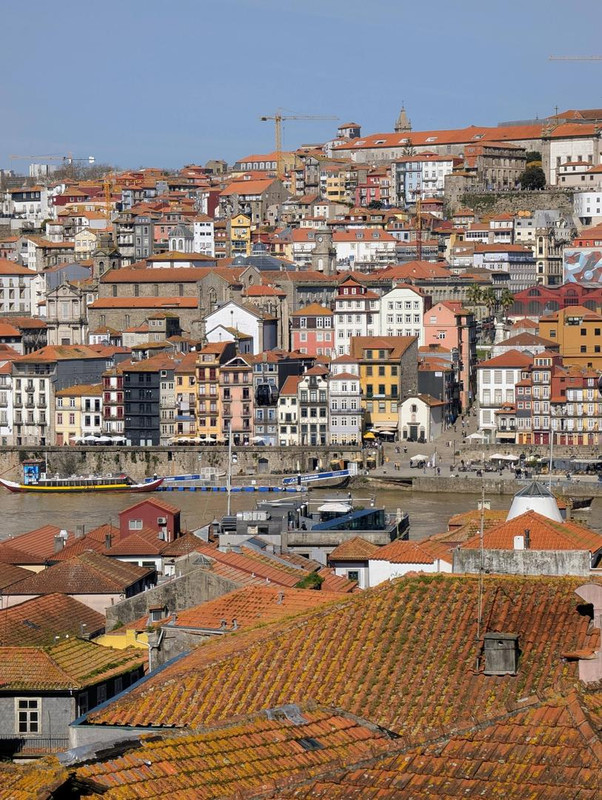 644686492 25585569254476037 50690089263164539 n