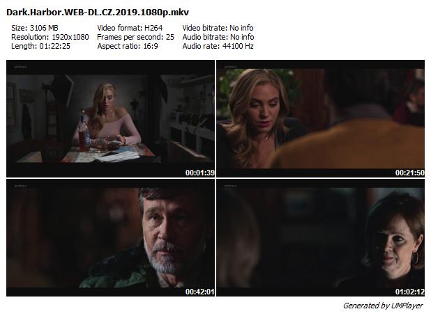 Ukrytá minulost / Dark Harbor (2019)