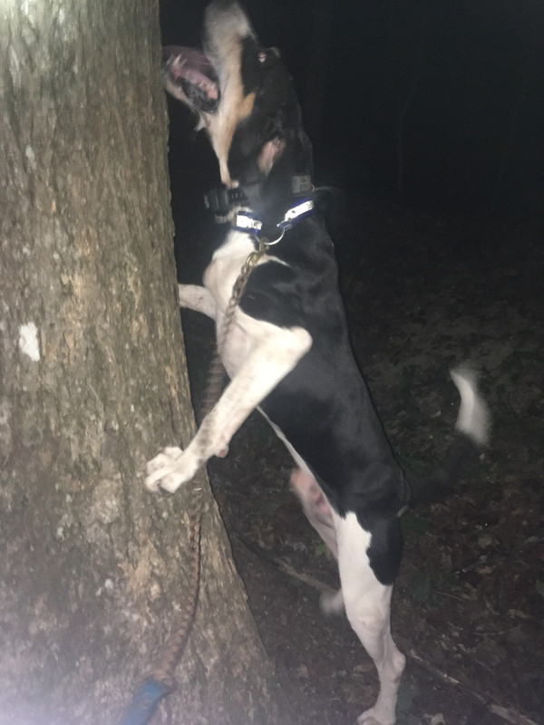 8054417A-AE88-4889-9077-30AE9FF31B8B