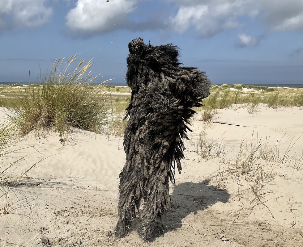 2A13ABD6-1BEF-4877-BACF-0A30C1A4E8F1