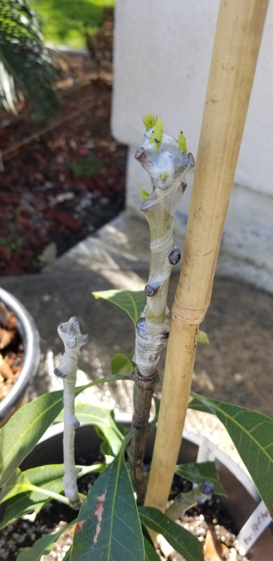 157FAEA4-82A9-497A-A0BA-FA9396BF9FD1