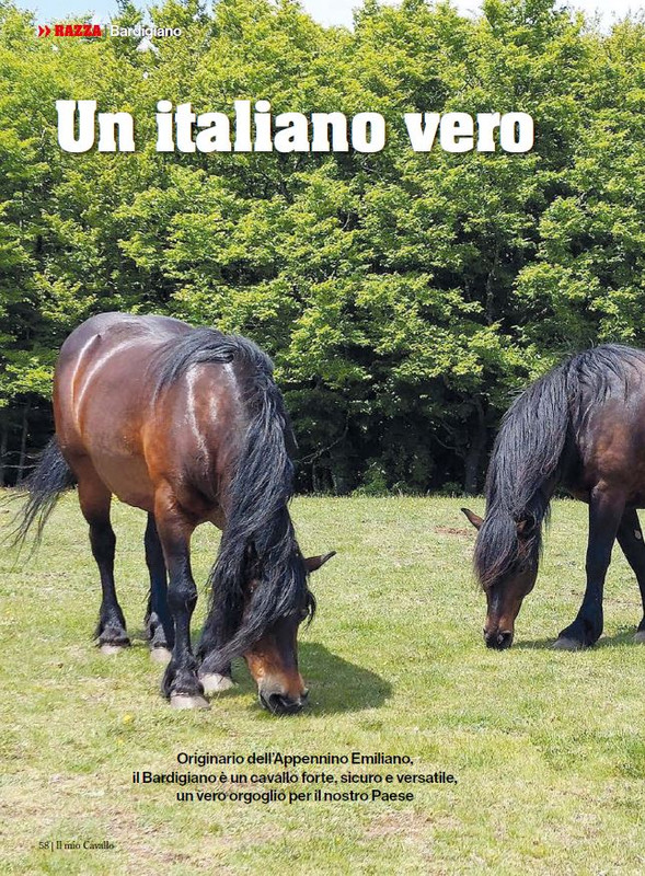 Il Mio Cav (Nov-Dic 2023) 9