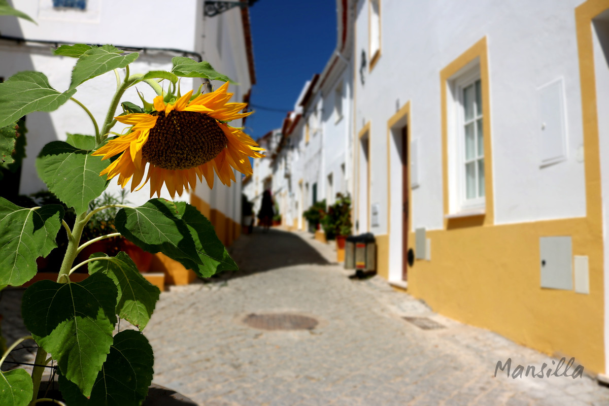 Elvas-09