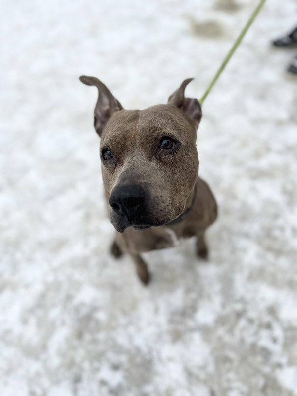 2CFE4050-5215-4C81-B6CD-BDD368010A59