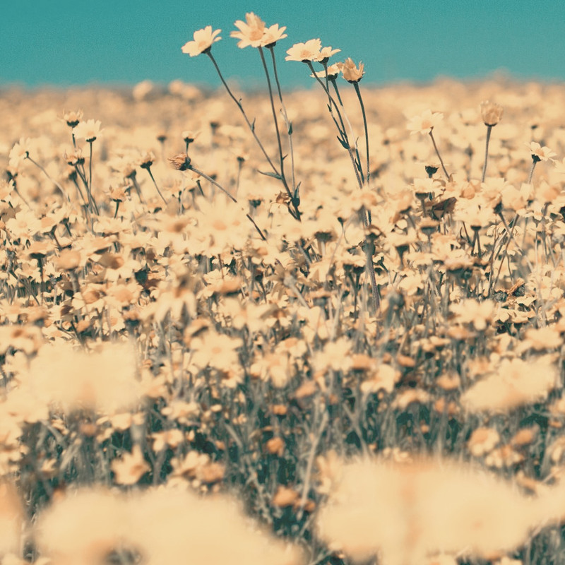 27F39817-F526-488D-A201-8C2FC29287B4
