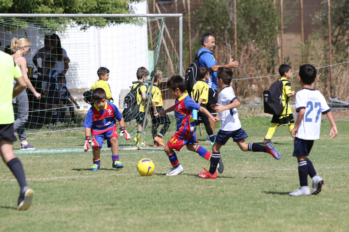 VIK_8923