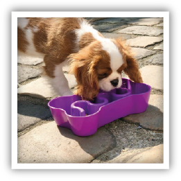 Site-Web-vignette-Instagram-Gamelle-34