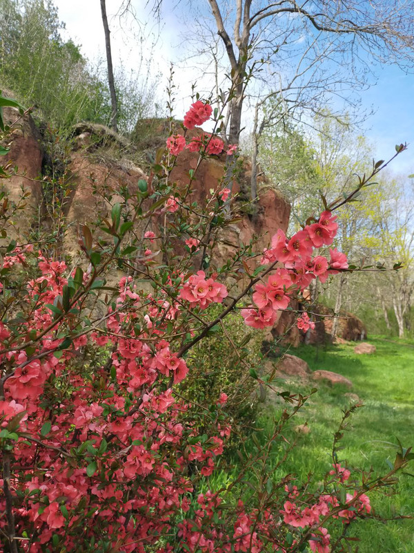 IMG_20230521_200350_403