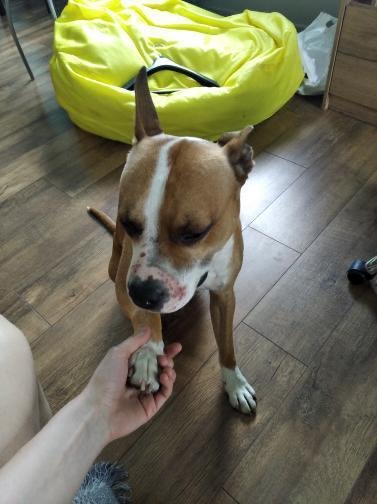 0C3B583B-9D0D-40B5-9B95-9FE256FF4417