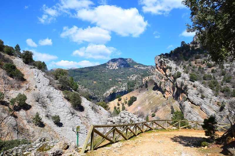 RUTA RIO BOROSA-12-3-2016-JAEN - Paseando por España-1991/2016 (85)