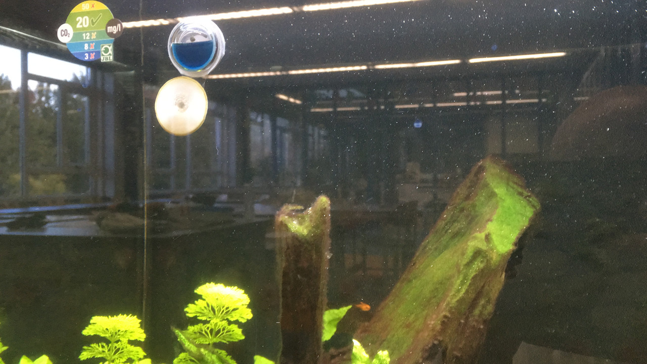 B51EEF81-7FF3-4272-9425-CC447349AD1C