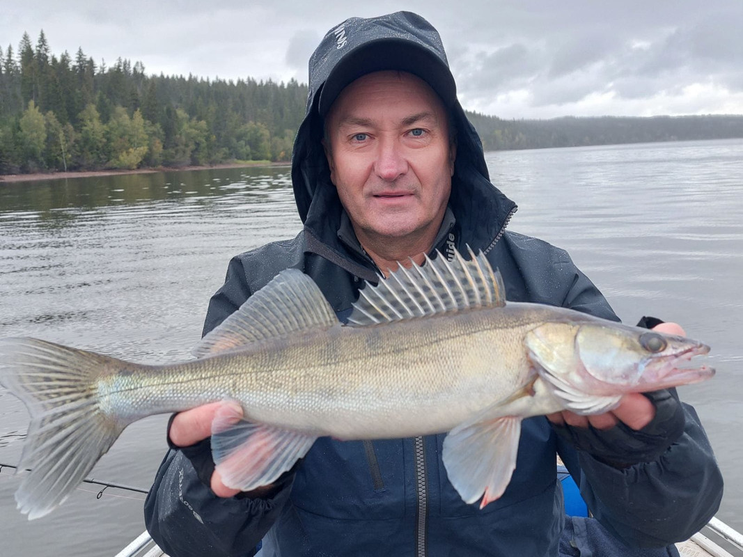 12 (2) джиг головка купи лучший спиннинг катушка Куляпин ловля рыбалка судак щука обучение