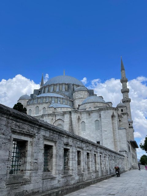 6 Aviones, 3 barcos y 2 trenes, empezando en Estambul y terminando Kuala Lump - Blogs de Indonesia - PRIMERA PARADA: ESTAMBUL (31)