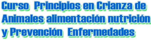 curso principios de crianza animales