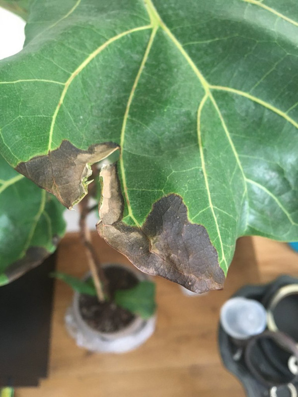 80C6C959-C52D-472A-866E-ACAF9718CB4E