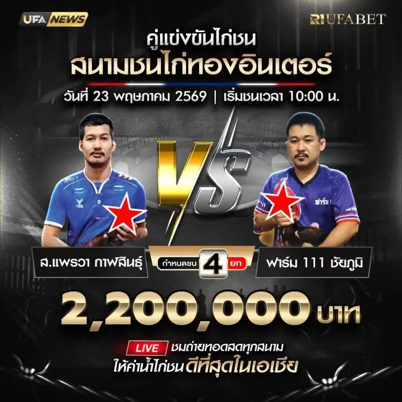 ส.แพรวา กาฬสินธุ์ พบ ฟาร์ม 111 ชัยภูมิ โปรแกรมไก่ชน สนามชนไก่ทองอินเตอร์ 23 พฤษภาคม 2569