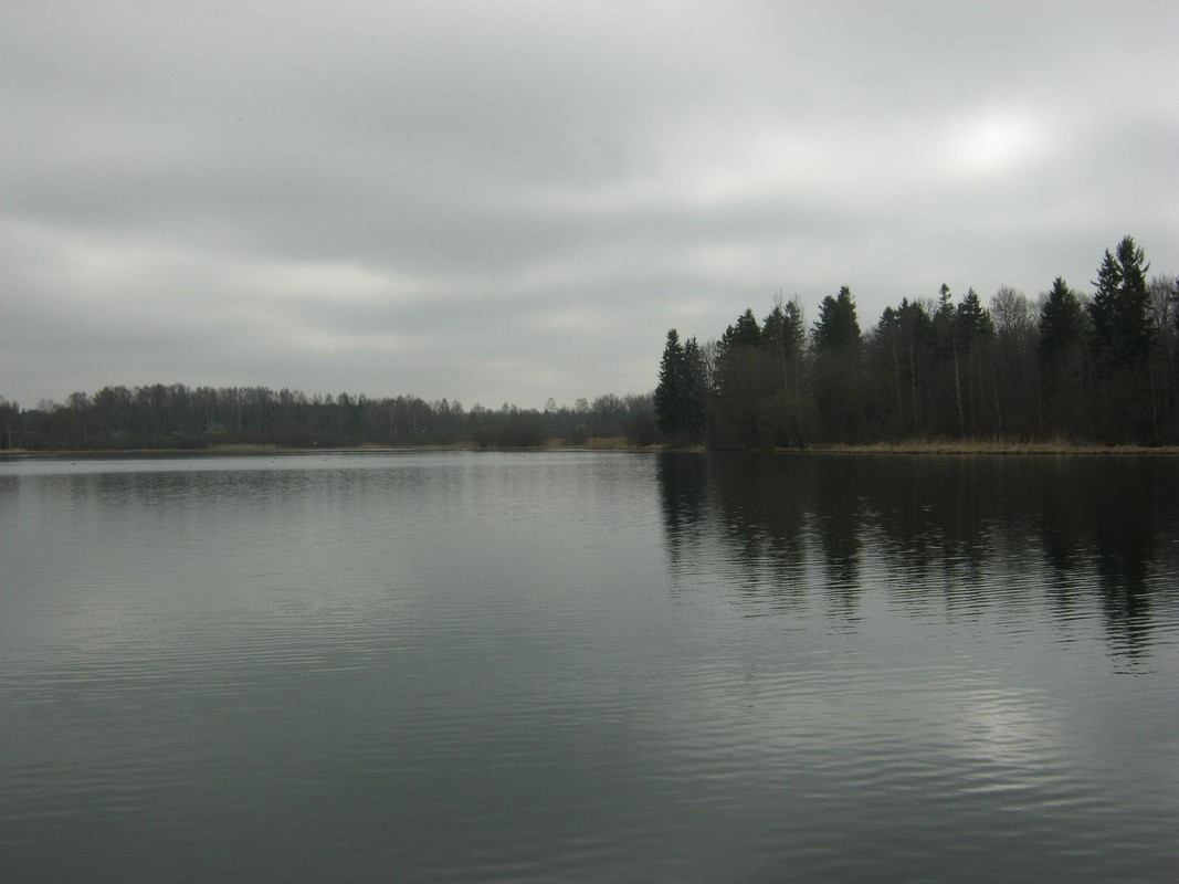 весна, Ропша