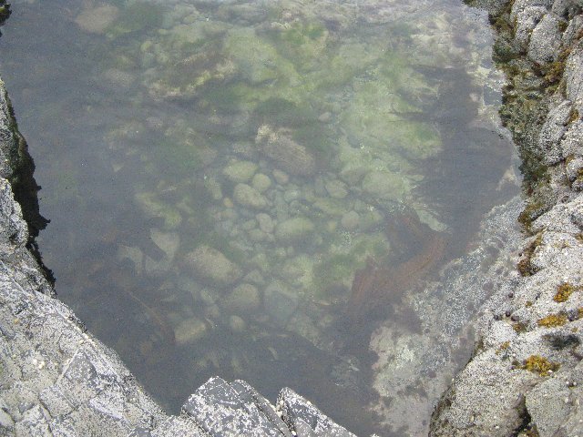 103351A8-1213-4ADB-98BF-7E69E0D9540C