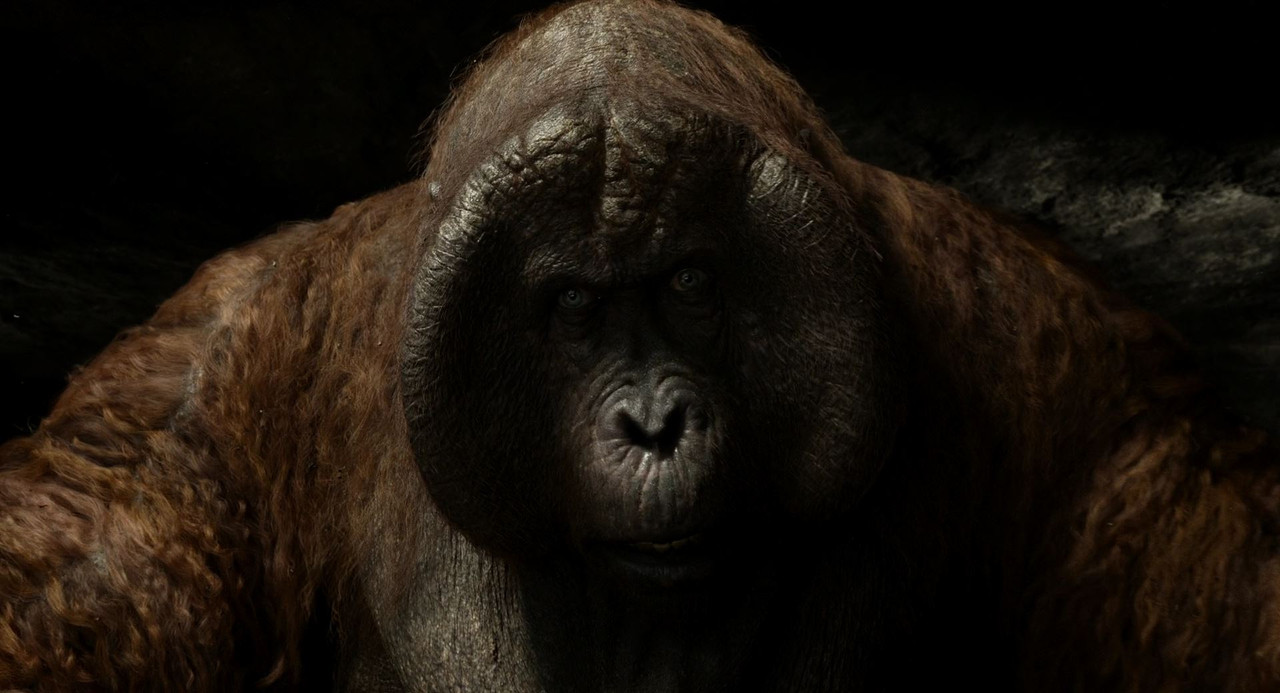 Fotos 05902 The.Jungle.Book.2016.1080p.BDRip