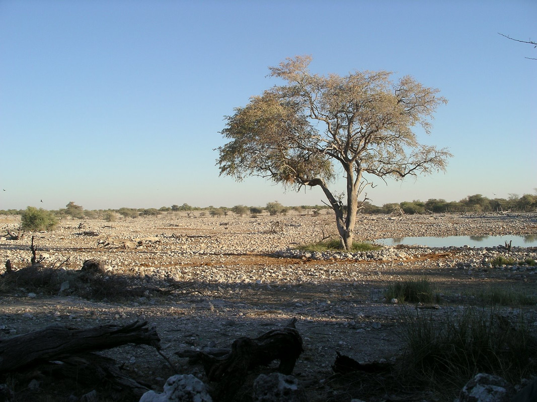 IMGP1387
