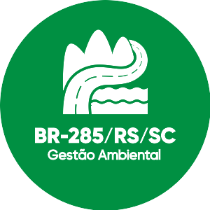 BR-392