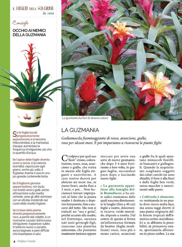 Pol Ver Ott 2021 (1)