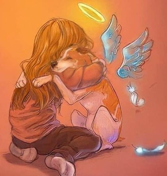 [Image: IMG-8195.jpg]