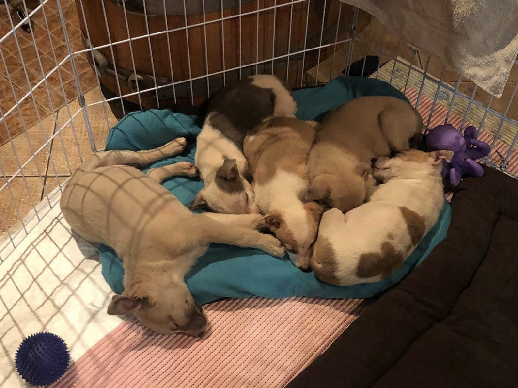 C0165ABB-4F86-47D7-9F6F-61D39877C6A3