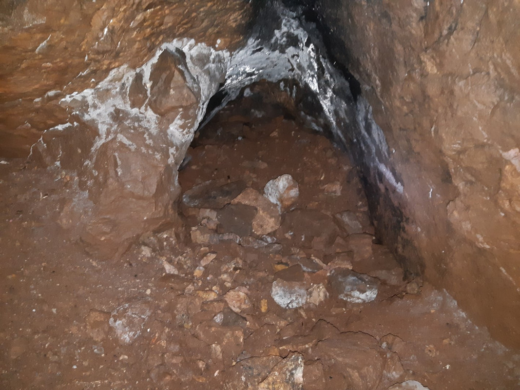 10.11 - 20200613_104216 (PiTT)