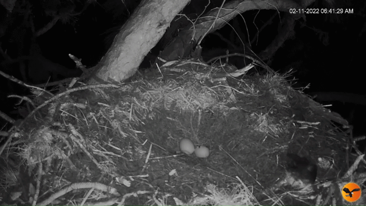 Webp.net-gifmaker (4)