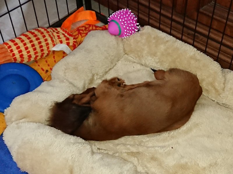 [Image: DSC-2994.jpg]