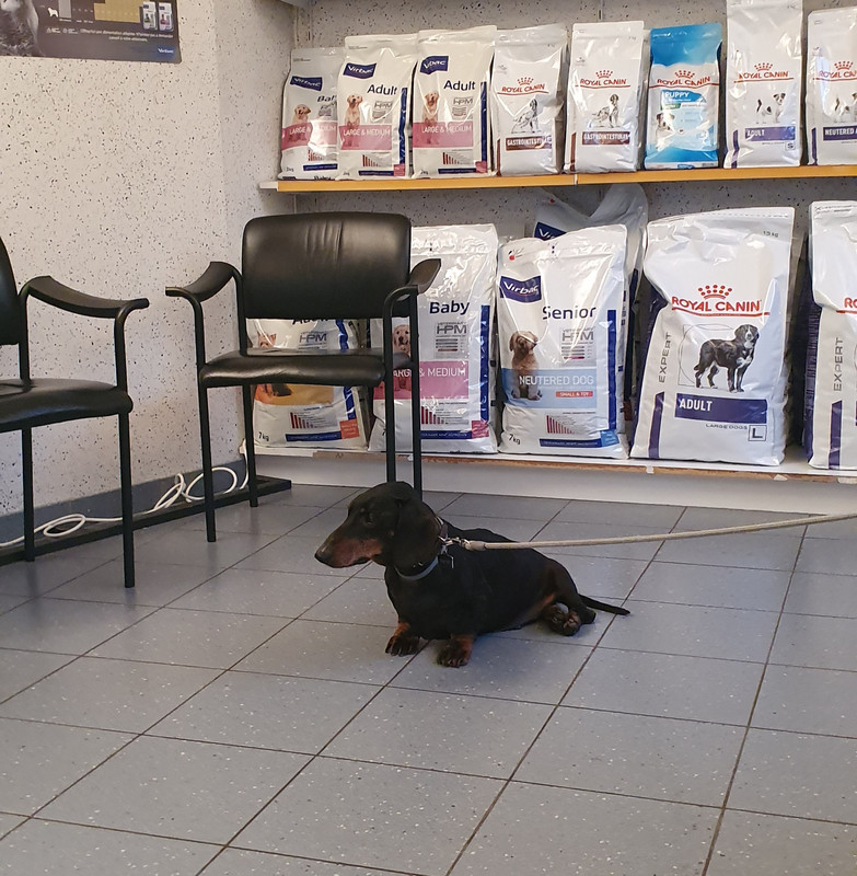 [Image: 20221027-184117.jpg]