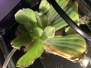 3BA02249-70F7-4574-A3B5-B7A9E6AAF28D