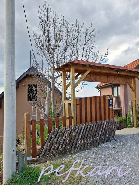 Slika