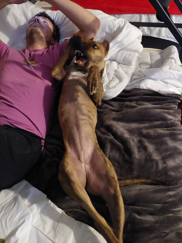 C7489AC4-CDB8-45D2-9F45-B70AF322982B