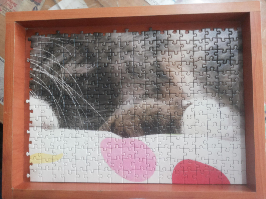 Gatito Avispado -Ravens-1000p 21.6 (6)